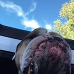 Profile Picture of Andrew Ertley (@andrewertley) on Instagram