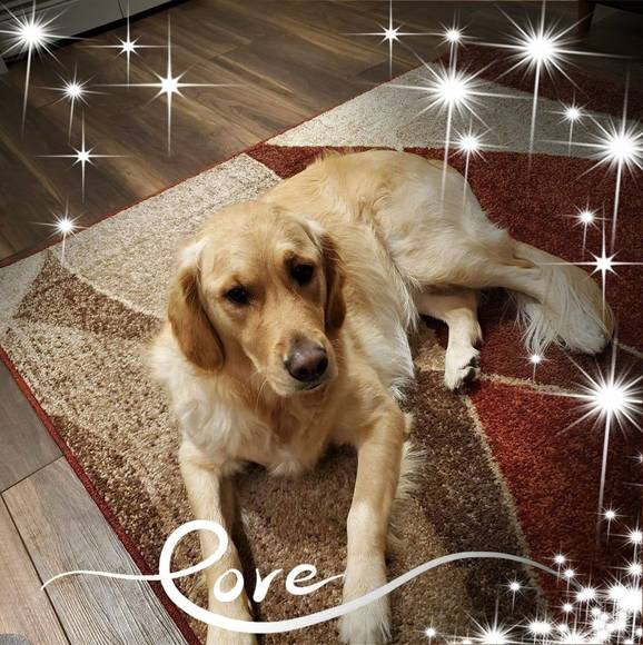 Profile Picture of Caryn Freedman (@caryn_f) on Poshmark