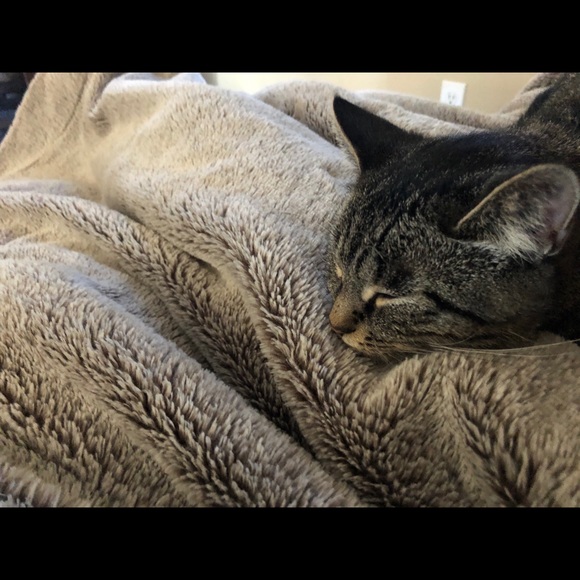 Profile Picture of Amelia Mckinnon (@ameliamckinnon) on Poshmark