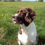 Profile Picture of Mandy Weaver (@weaver2184) on Instagram