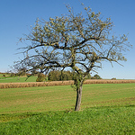 Profile Picture of Andreas Heinrich (@andreasheinrich) on Flickr
