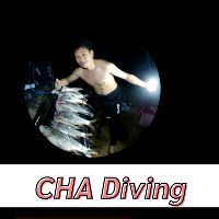 CHA Diving - Tiktok Profile Picture of CHA Diving (@user9053088453054) on Tiktok