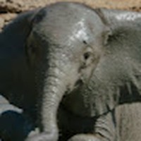 Profile Picture of Hayden Fraser (@hayden-fraser-12) on Quora