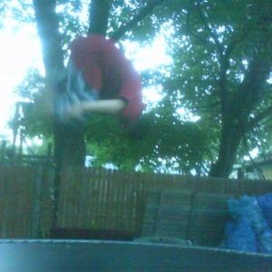Profile Picture of Chris Armas (@chris_armas_) on Myspace