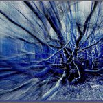 Profile Picture of Jacqueline Walsh (@jacquelinewalshj) on Instagram