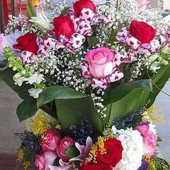 Profile Picture of Loretta Mullin (@loretta.mullin) on Tiktok