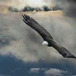 Profile Picture of Keith Lartigue (@keithlartigue) on Instagram