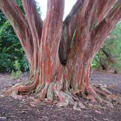 Profile Picture of Jon Gaffney (@jdhgaffney) on Twitter