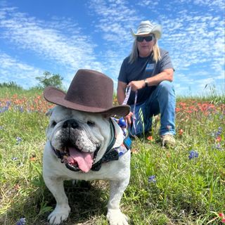 Profile Picture of Randy Vonderheide (@puppatrolpetservices) on Instagram