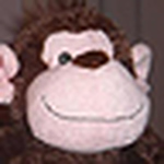 Profile Picture of Almost Witty (@almost witty) on Flickr