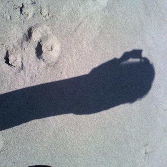 Profile Picture of Paula Lim (@posh900) on Poshmark