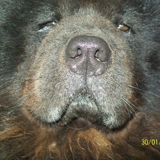 Profile Picture of Luis Ovando (@luis.ovando.564) on Facebook