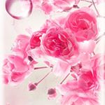 Profile Picture of adam (@zouzou.adoumi) on Instagram