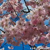 Profile Picture of Hamid Alizadeh (@hamidalizadeh9478) on Youtube