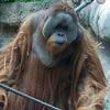 Profile Picture of Robert Saxton (@bertbertbertbert1234) on Tiktok