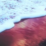 Profile Picture of Aaron Benjamin Chamberlain (@aaronisthe_editor) on Instagram