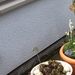 Profile Picture of Iris Conradi (@irisconradi) on Pinterest