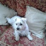 Profile Picture of John Hoad (@johnhoad) on Instagram