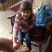 Profile Picture of Kiersten O'Connor (@kierstenoconnor) on Pinterest