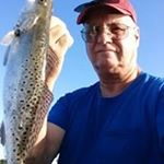 Profile Picture of Hal Skinner (@skinnerhal) on Instagram