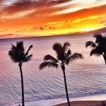 Profile Picture of Jenna (@jenna.bryce) on Instagram