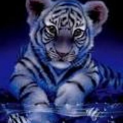 Profile Picture of Chris Oney (@chris_oney) on Twitter