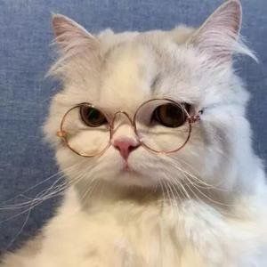 Profile Picture of forrest (@forrest5198) on Tiktok