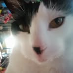 Profile Picture of Cesar Resendiz (@cesar.resendiz.722010) on Facebook