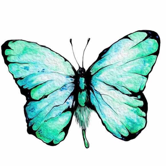 Fran Thomforde - Poshmark Profile Picture of Fran Thomforde (@fthomforde) on Poshmark