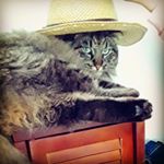 Profile Picture of David pasquini (@sanghakoumal803) on Instagram