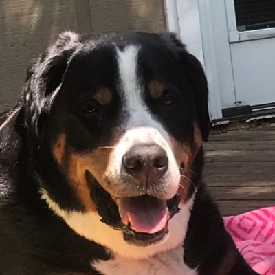 Profile Picture of Aidan Dwyer (@AidanDw81884265) on Twitter