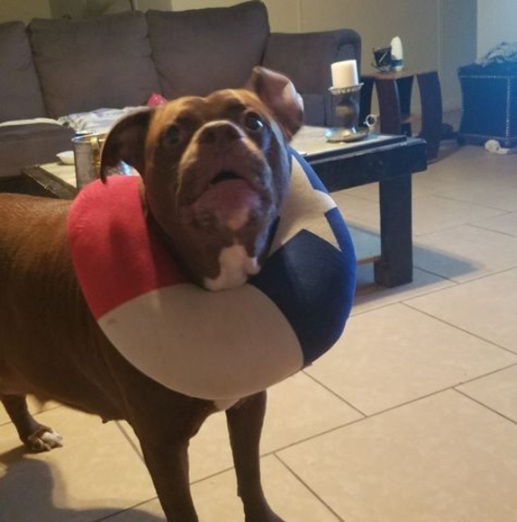 Profile Picture of Jazziemen Jazziegirl (@jazziemen59) on Poshmark