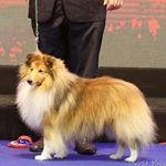 Profile Picture of Patrick  Fortune (@ricky67fortune) on Instagram