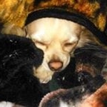 Profile Picture of Debbie Coots (@cootsdebbie) on Instagram