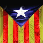 Profile Picture of David Gomez Sorroche (@davidgomezsorroche) on Instagram