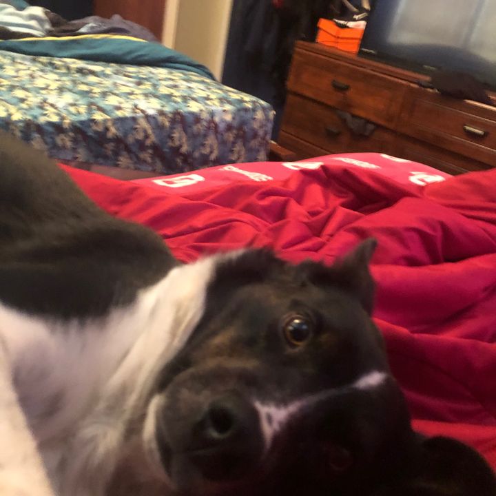 Profile Picture of Bradley Cropp (@@its_bradley_8) on Tiktok