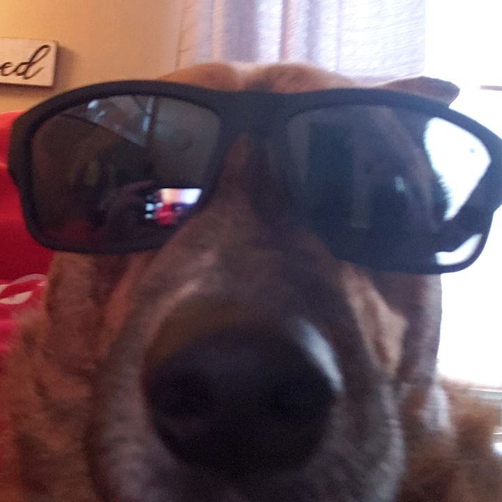 Profile Picture of Shawnmcc (@shawnmccon) on Tiktok