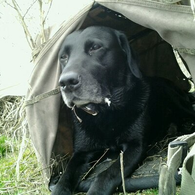 Profile Picture of Bryan Girolami (@BTG_Skeeter) on Twitter