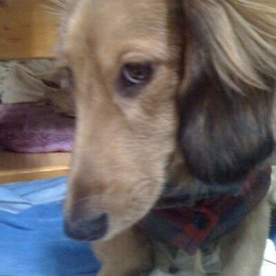 Profile Picture of Yeh Hsiao (@ehababy) on Twitter