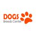 Profile Picture of Dogs Breeds Center (@dogsbreedscenter) on Pinterest