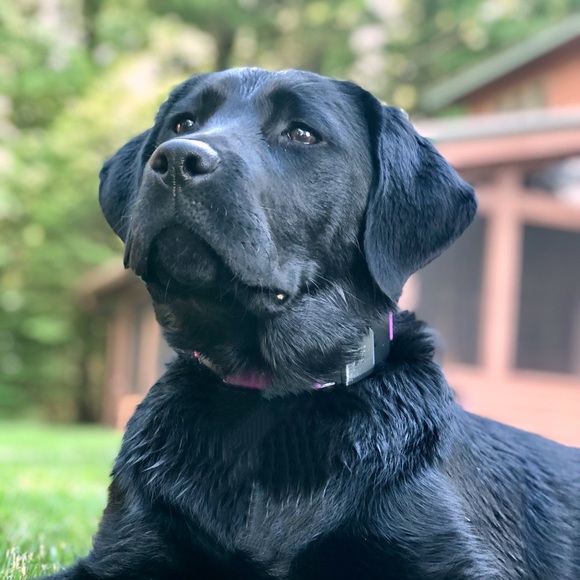 Profile Picture of Ashley Minetti (@sunacellars) on Poshmark