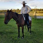 Profile Picture of Carl Sterling (@carl.sterling) on Instagram