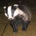 Profile Picture of Colin Willett (@colin2331) on Pinterest