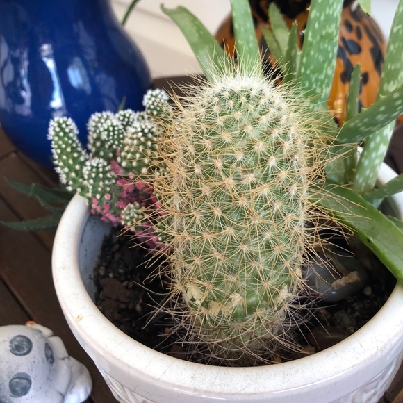 Ariana Briceno - Poshmark Profile Picture of Ariana Briceno (@edibri22) on Poshmark