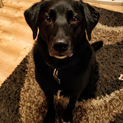 Profile Picture of Luke Farley (@lukefarley5658) on Youtube