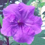 Profile Picture of Hayden Sanders (@hayden.laurel) on Instagram