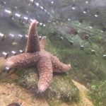 Profile Picture of Shay (@shay_stevenson_12) on Instagram