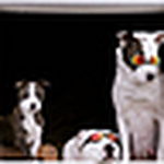 Profile Picture of Mike Noel (@203krenovationloan) on Flickr