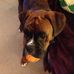 Profile Picture of Dexter Forrest (@Dexter-Forrest) on Facebook