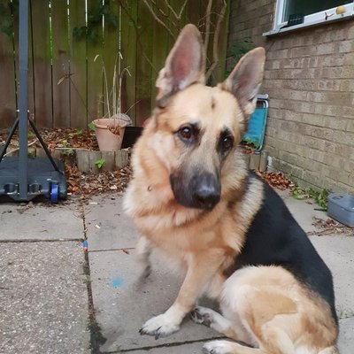 Profile Picture of Aaron Phipps (@Aaronph26633409) on Twitter